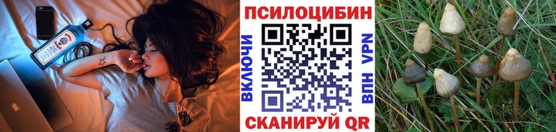 площадка телеграм  сколько стоит  Данилов  Галлюциногенные грибы прущие грибы  mega ссылка 